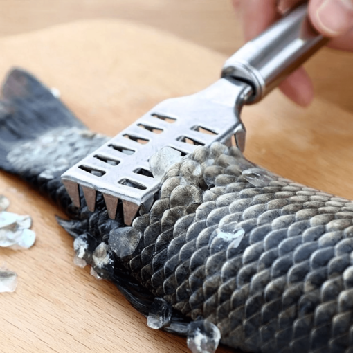 Fish Cleaning Tool